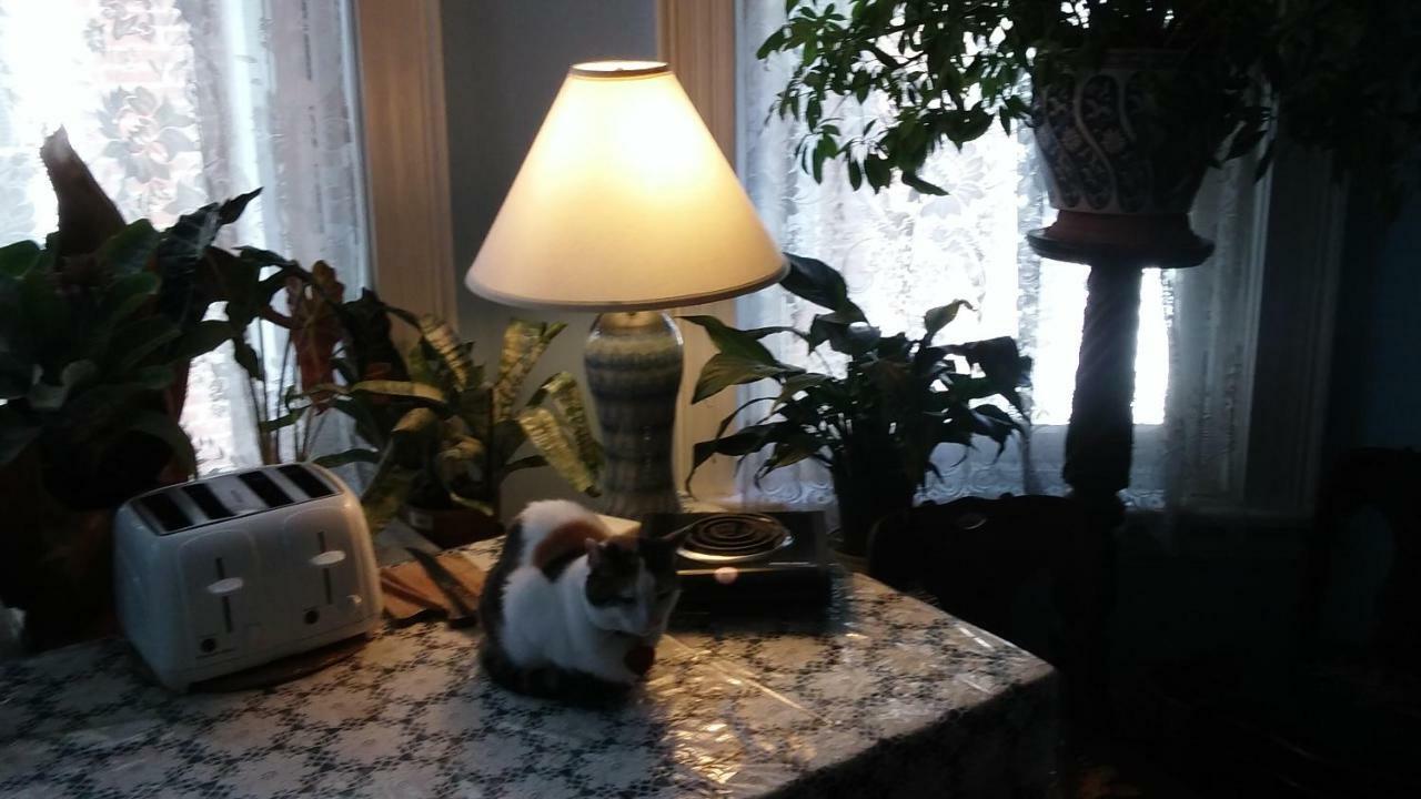 Burbridge Street B&B Philadelphia Buitenkant foto